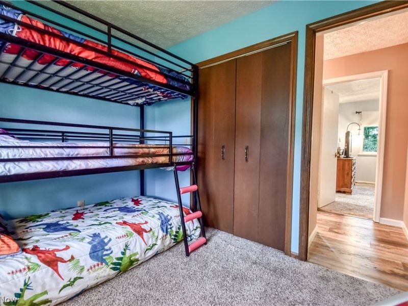 3872 Green Street, Perry, OH 44081 Photo 23