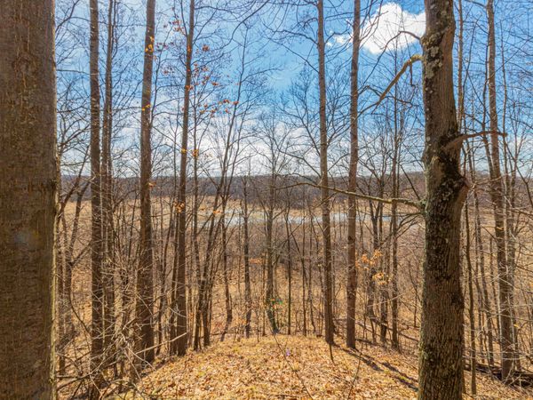 V/L 17 Mile Road, Rodney, MI 49342