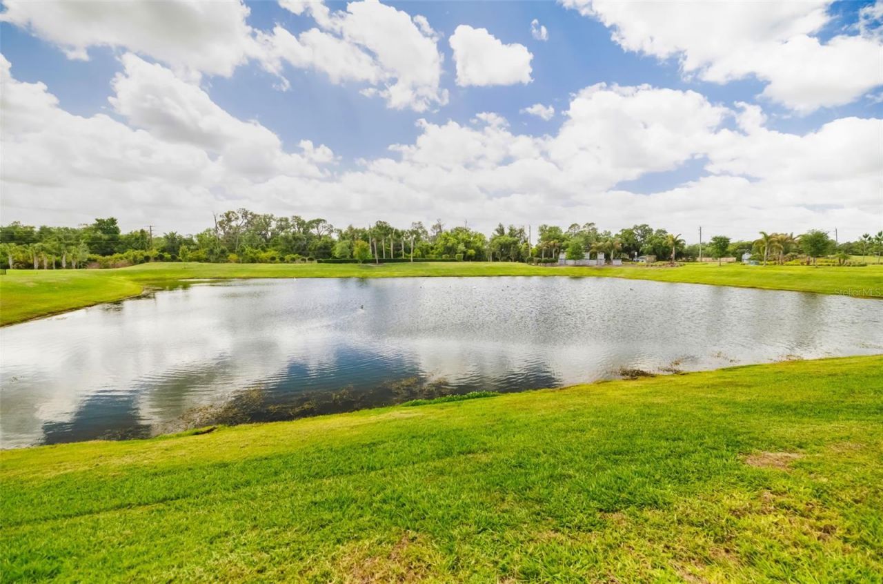14086 Ginnie Springs Way, Parrish, FL 34219 Photo