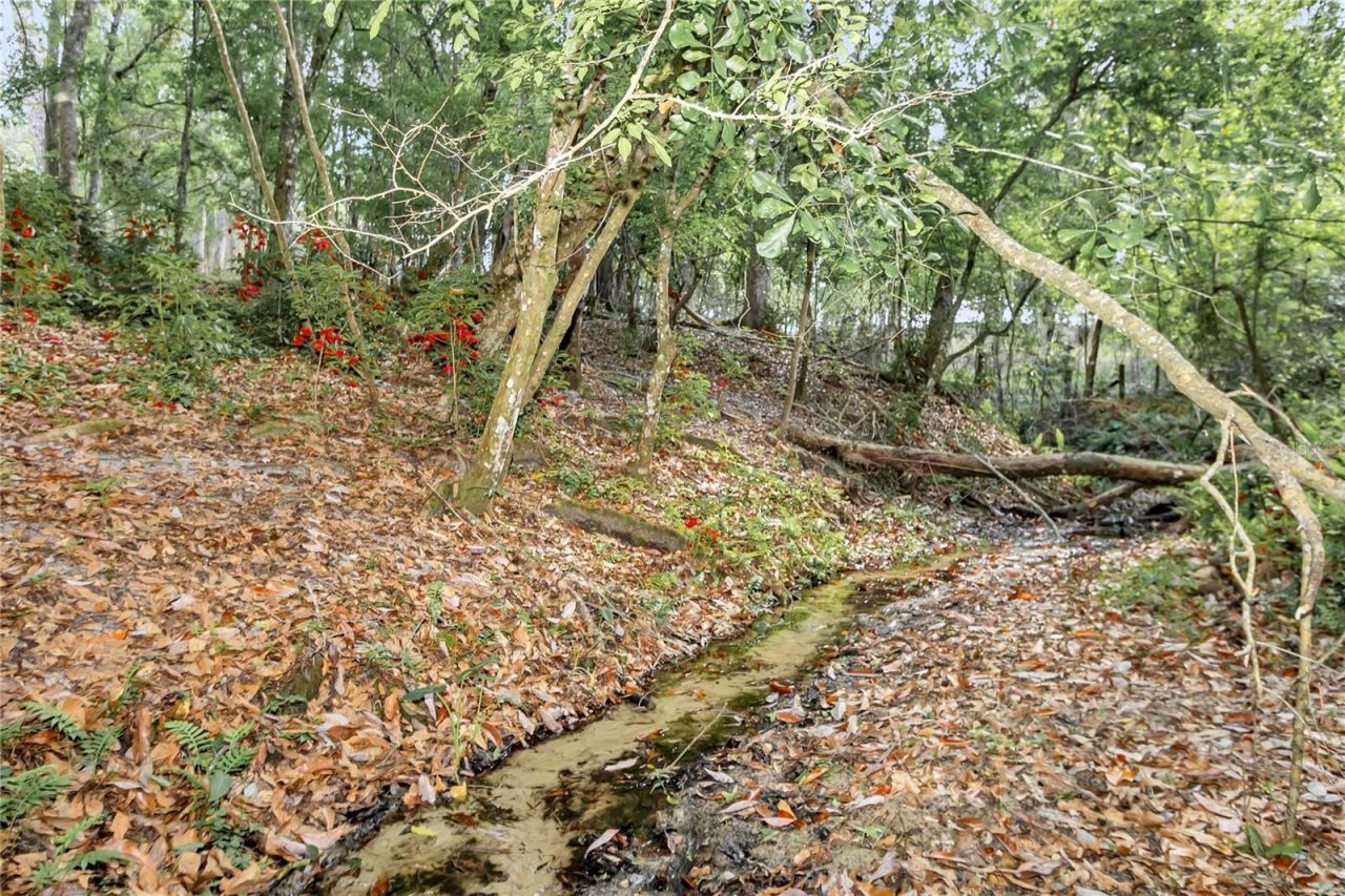 2350 Rose Terrace Path, Brooksville, FL 34602 Photo