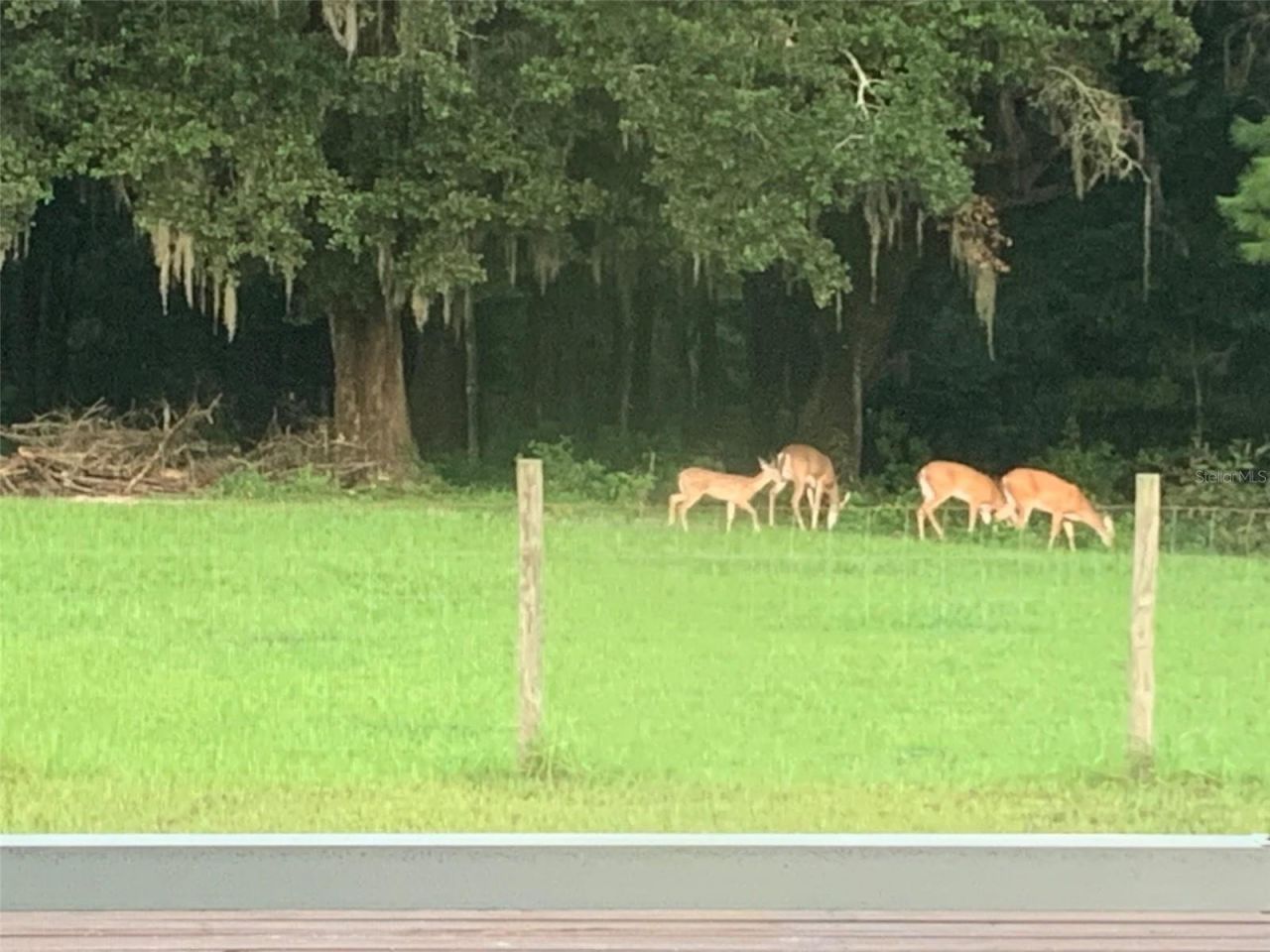 2350 Rose Terrace Path, Brooksville, FL 34602 Photo