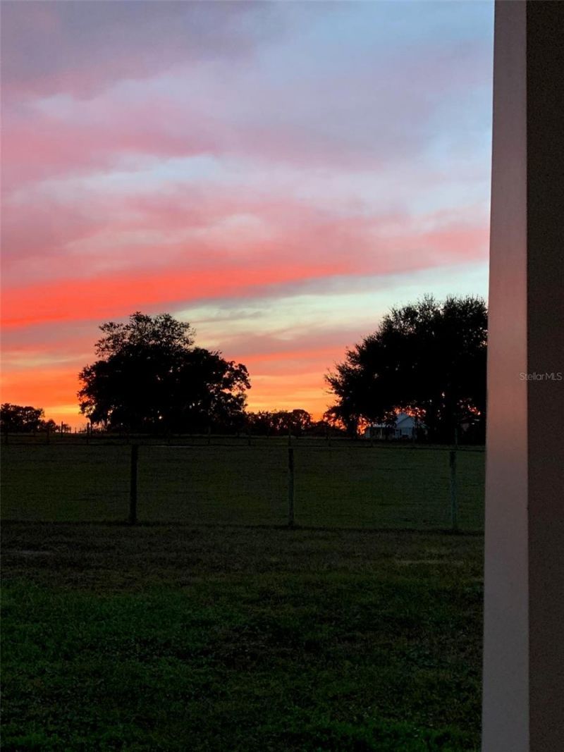 2350 Rose Terrace Path, Brooksville, FL 34602 Photo