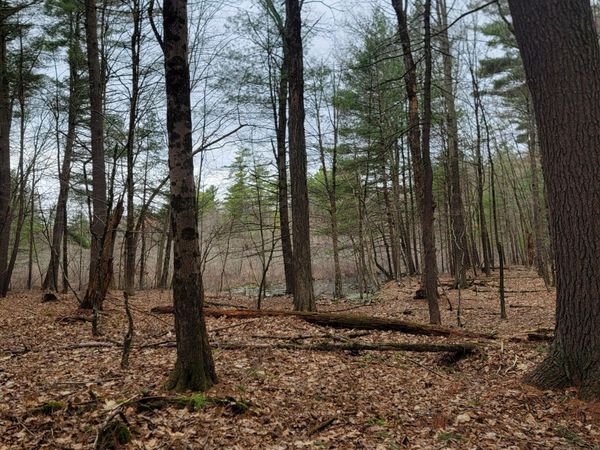 L47 Coldwater Tavern Road, Nassau, NY 12062