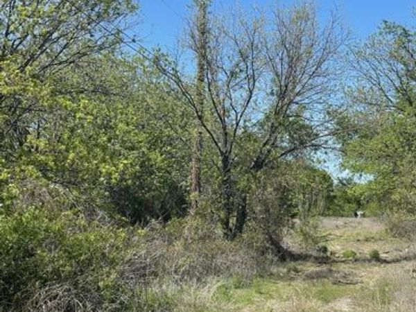 31 Julia, Bangs, TX 76823