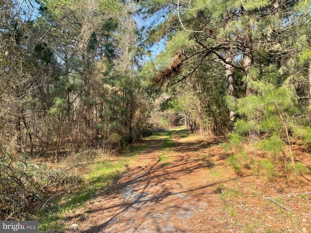 Foskey Lane, Delmar, MD 21875 Main Photo