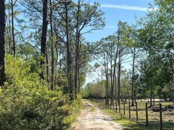 15841 Rasmussen RD, PUNTA GORDA, FL 33982
