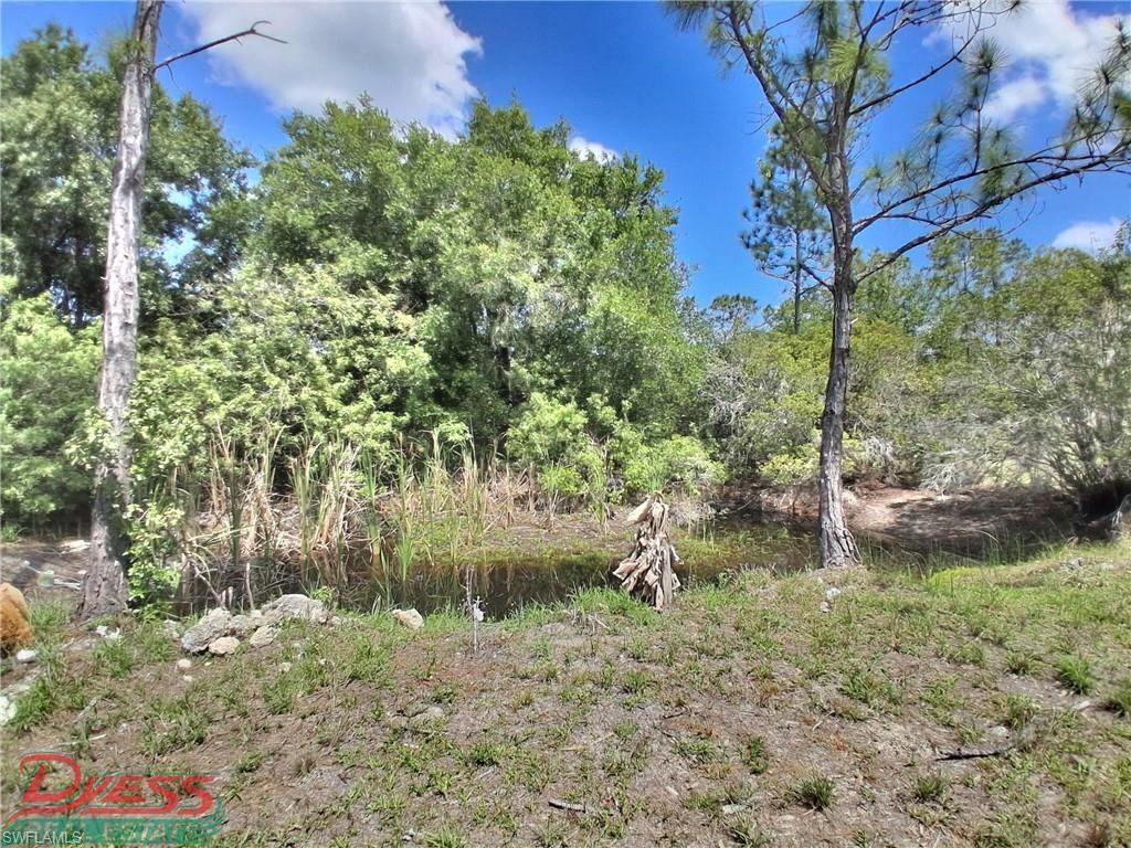 5320 Pioneer 8th St, Clewiston, FL 33440 Photo