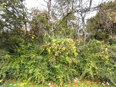 1627 Stella Avenue, Dallas, TX 75216