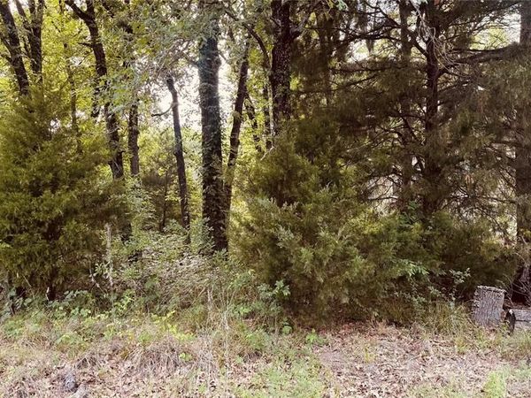 141 Elk Cove Drive , Mabank, TX 75156