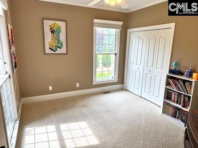 109 Turkey Crossing Road Photo 19