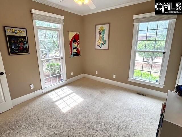 109 Turkey Crossing Road Photo 20