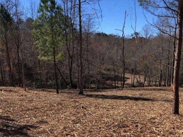 LT 26 Arbor Creek Trail, Mineral Bluff, GA 30559