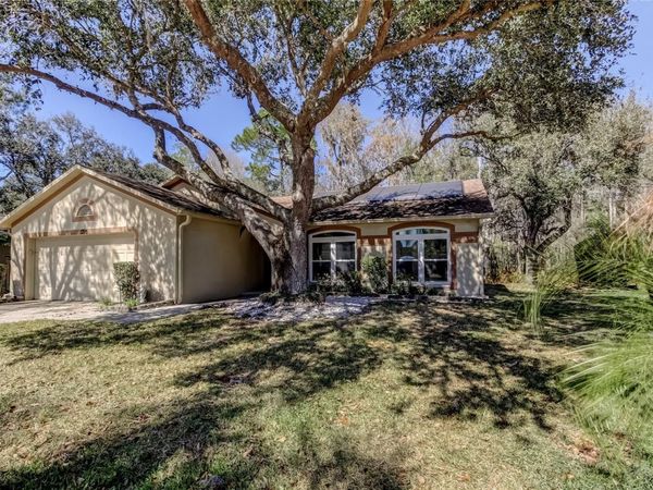 1795 BAYHILL DRIVE, OLDSMAR, FL 34677