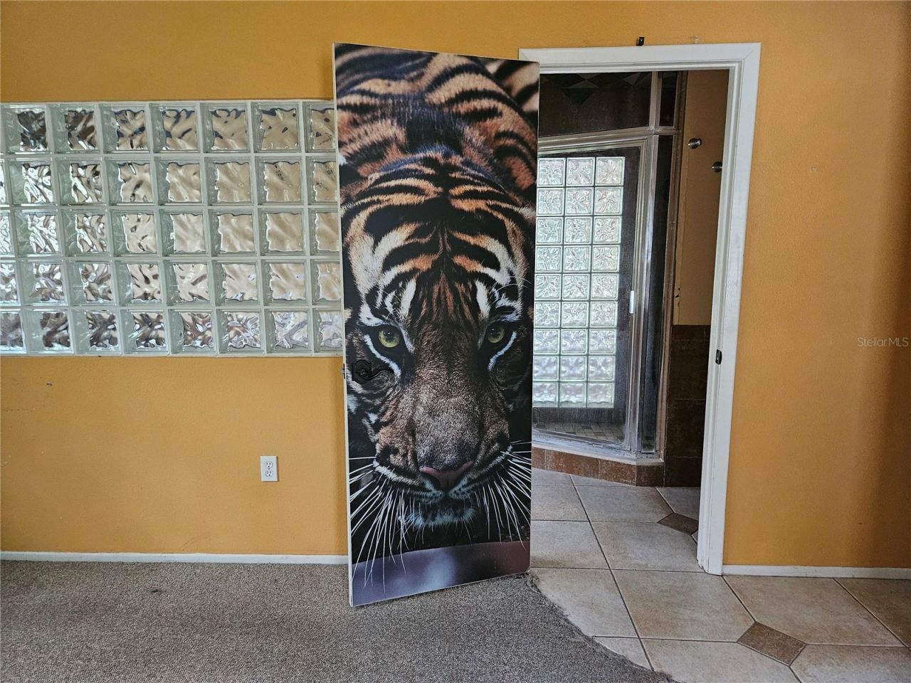 1795 Bayhill Drive, Oldsmar, FL 34677 Photo