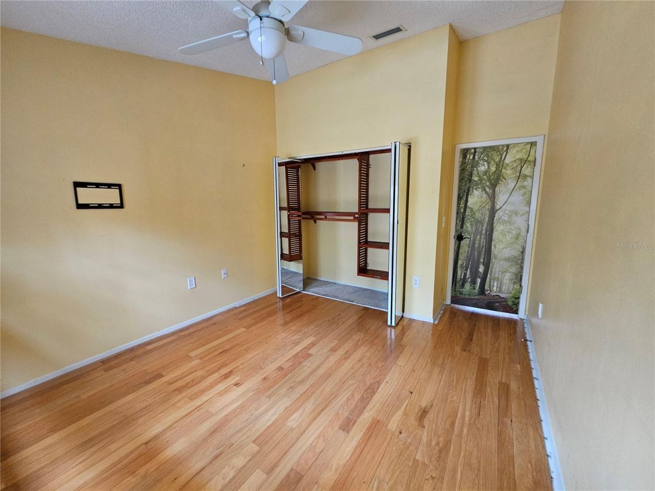 1795 Bayhill Drive, Oldsmar, FL 34677 Photo