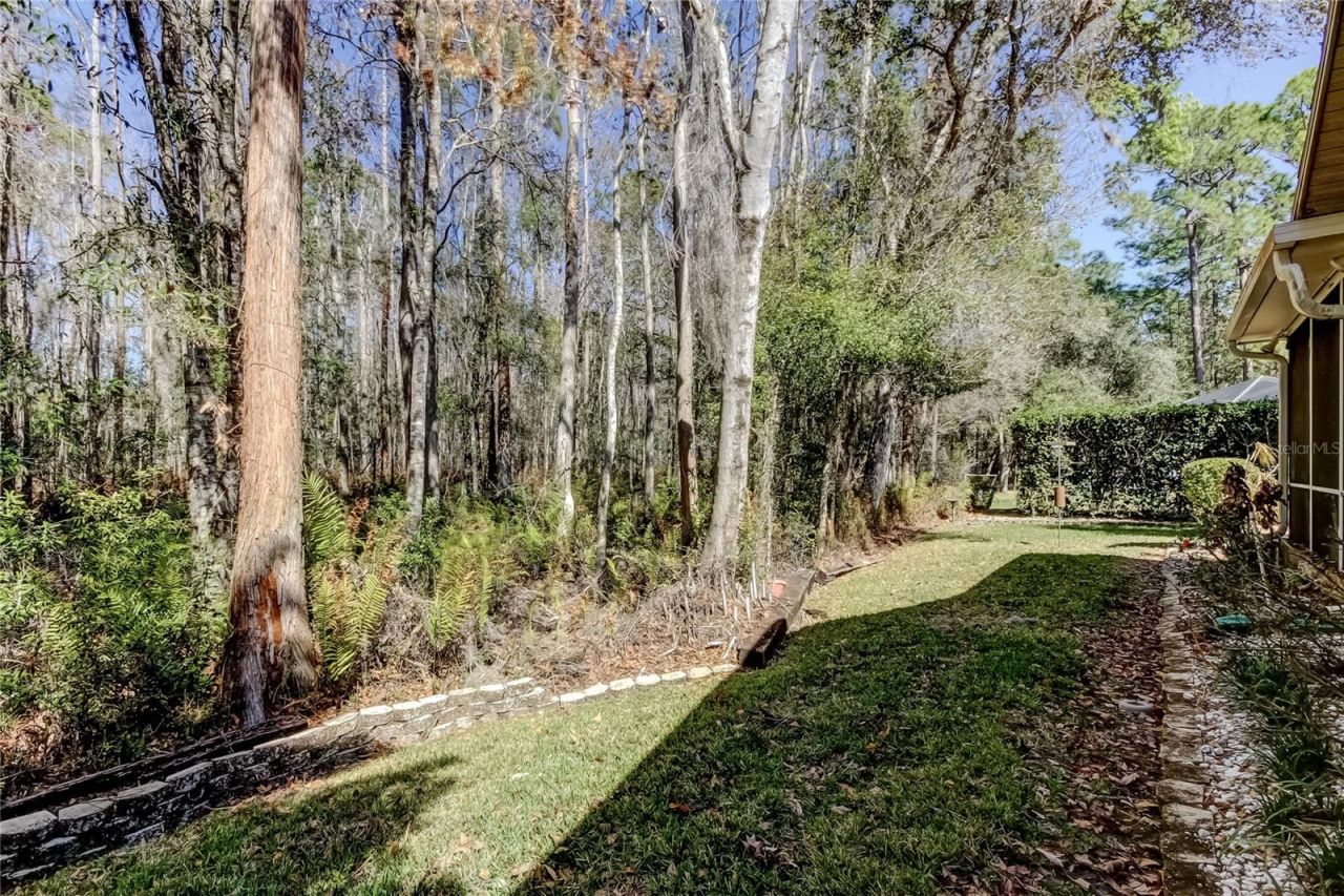 1795 Bayhill Drive, Oldsmar, FL 34677 Photo