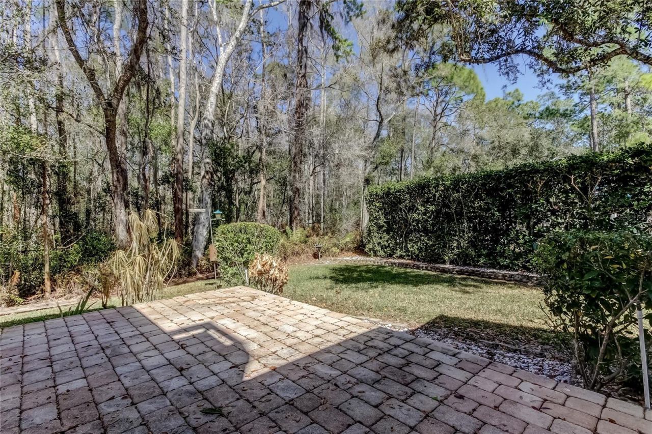 1795 Bayhill Drive, Oldsmar, FL 34677 Photo