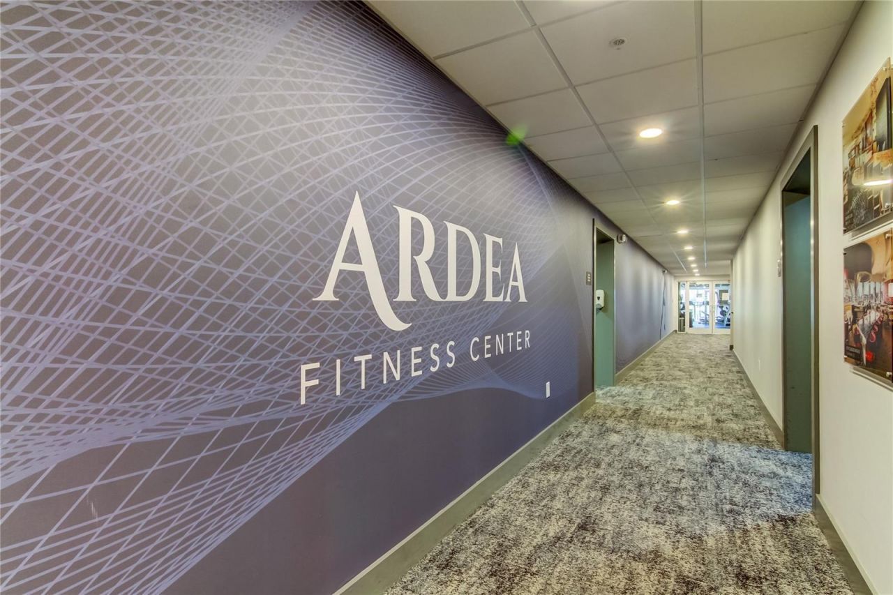 1795 Bayhill Drive, Oldsmar, FL 34677 Photo