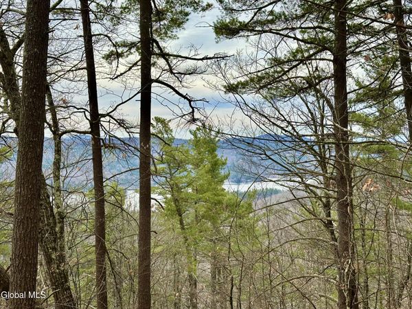 1 S Ike Hayes Road, Brant Lake, NY 12815