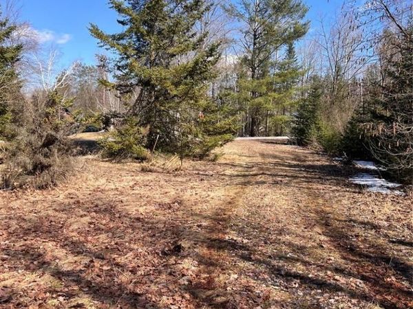 3120 Lakeshore Drive, Curtis Twp, MI 48737