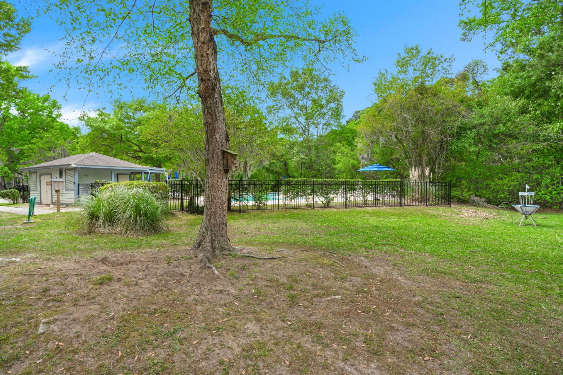 2314 Treescape Drive Photo 8