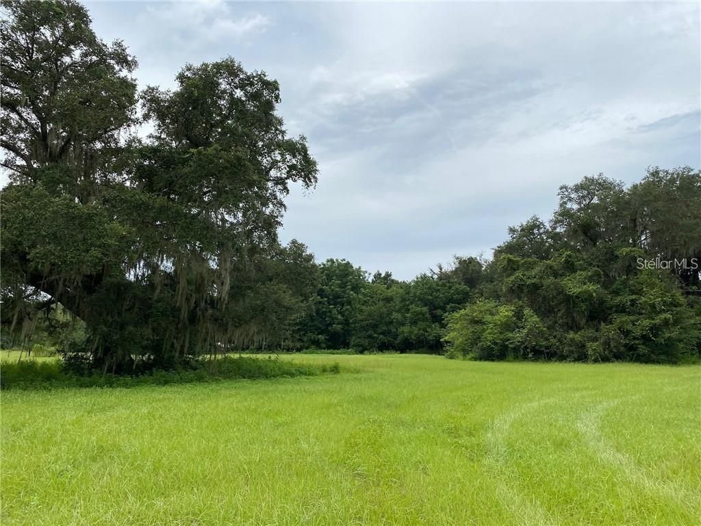 9401 NE 41st Court , Anthony, FL 32617 Photo