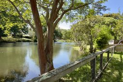 808 Detyens Road photo 4