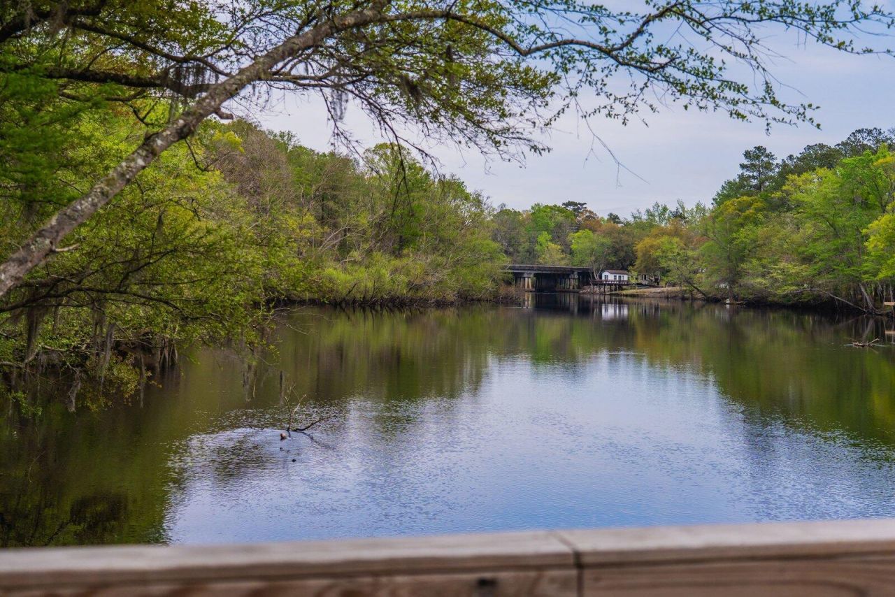 460 Trout Lane Photo 66