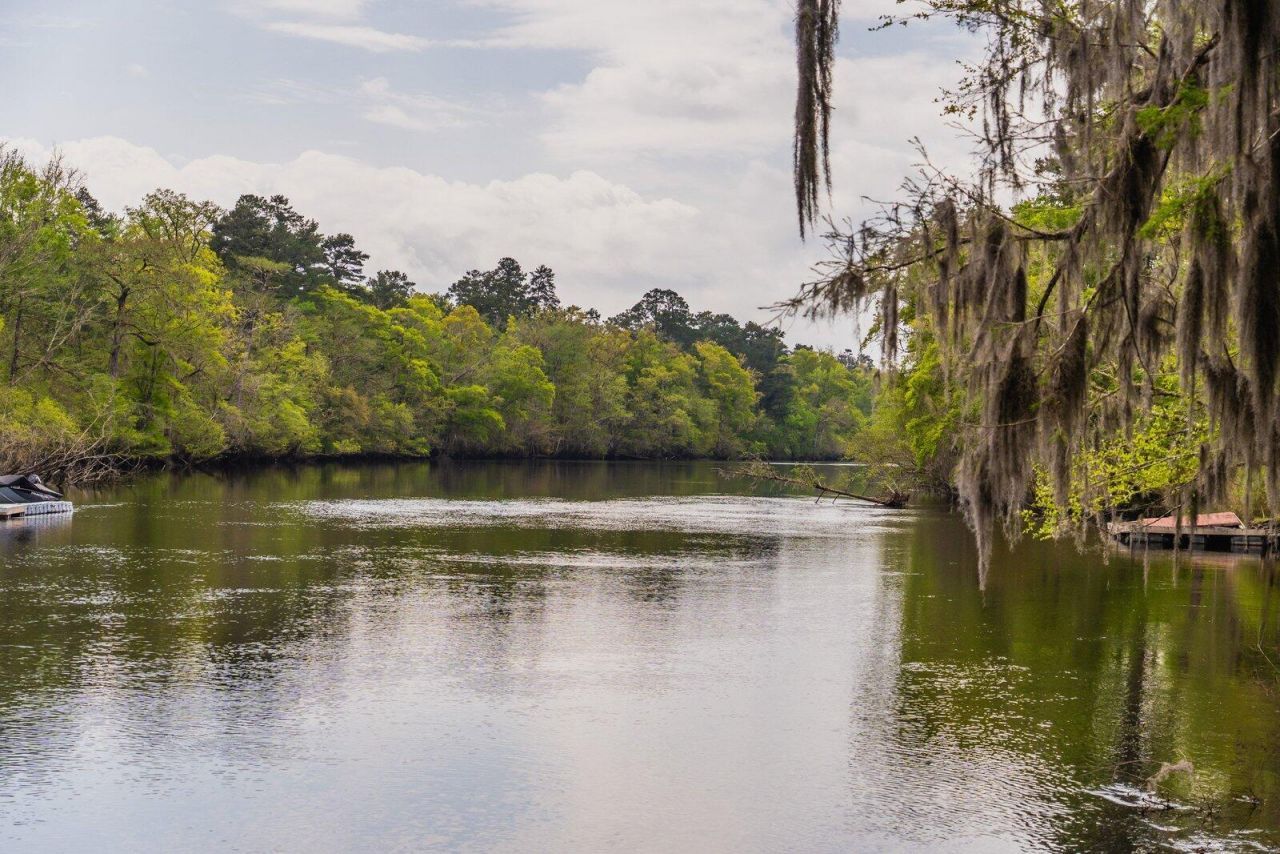 460 Trout Lane Photo 67