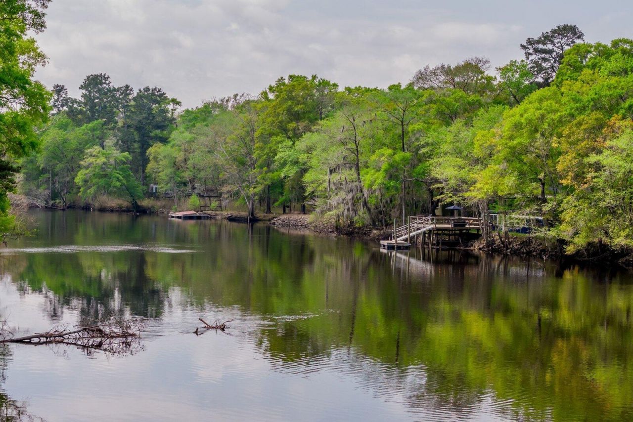 460 Trout Lane Photo 69