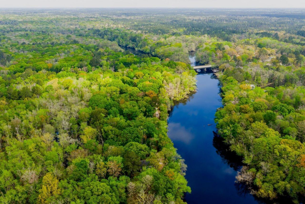 460 Trout Lane Photo 73