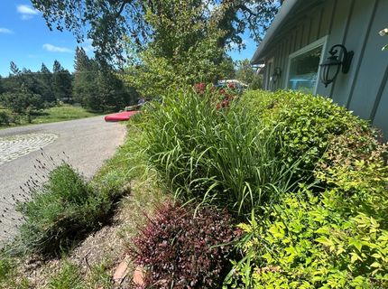 4164 Leisure Ln, Placerville, CA 95667 Photo
