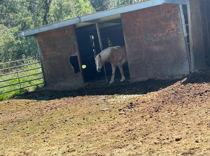 4164 Leisure Ln, Placerville, CA 95667 Photo