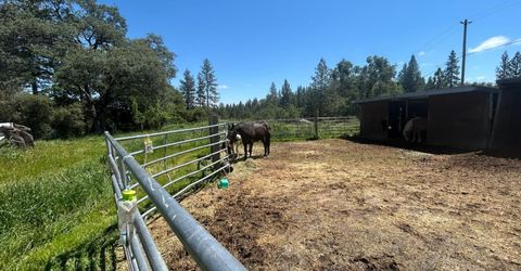 4164 Leisure Ln, Placerville, CA 95667 Photo