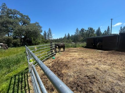 4164 Leisure Ln, Placerville, CA 95667 Photo