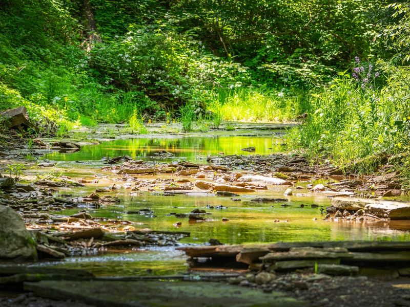 9757 Old Delaware Road, Mount Vernon, OH 43050 Photo 39