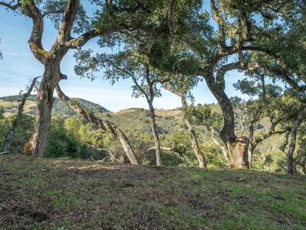 5 Vasquez (Lot 170) Trail, Carmel Valley, CA 93923