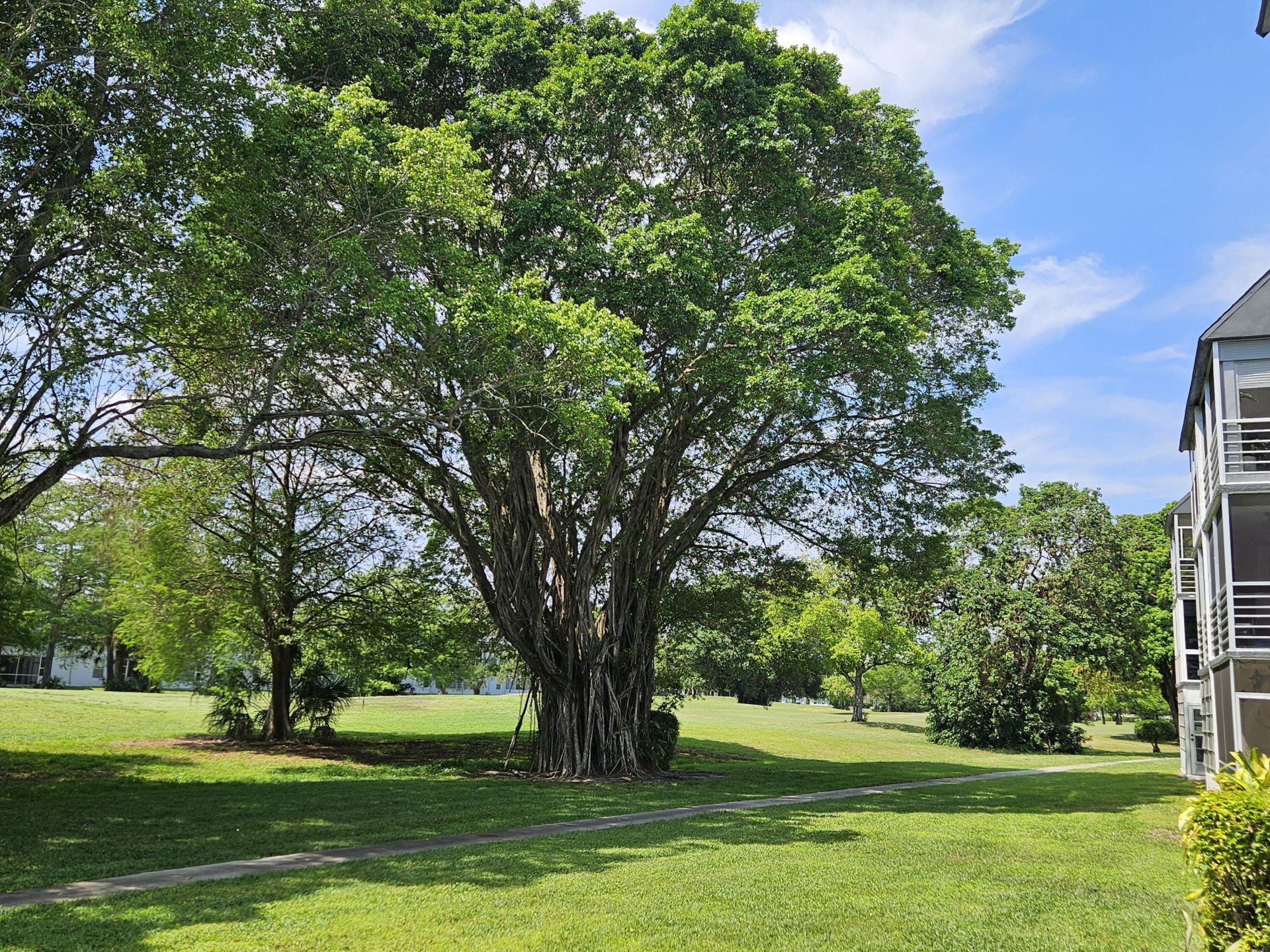 8310 Sands Point Boulevard, Unit 307l, Tamarac, FL 33321 Photo