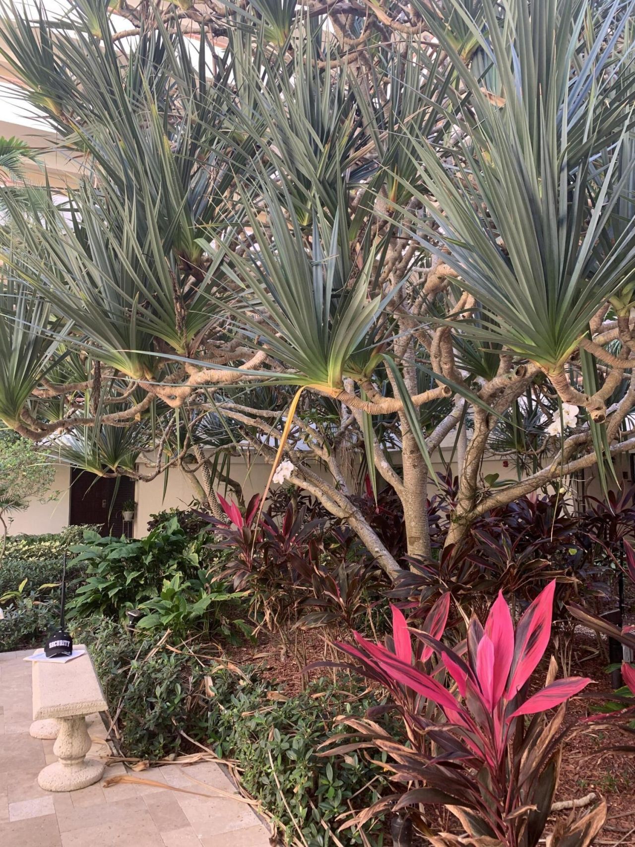 23200 Camino Del Mar, Unit 204, Boca Raton, FL 33433 Photo