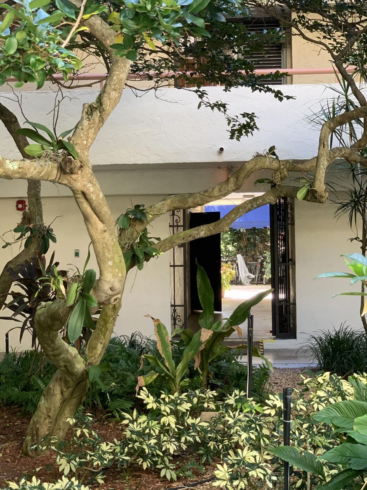 23200 Camino Del Mar, Unit 204, Boca Raton, FL 33433 Photo