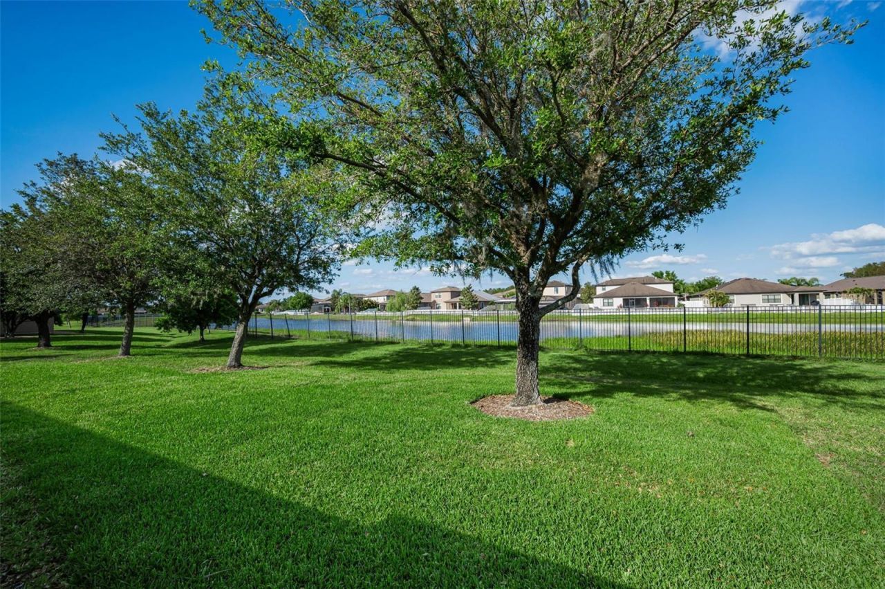 1933 Arbor Knoll Loop, Trinity, FL 34655 Photo