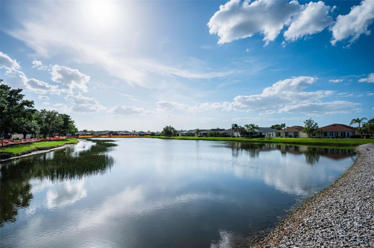 1933 Arbor Knoll Loop, Trinity, FL 34655 Photo