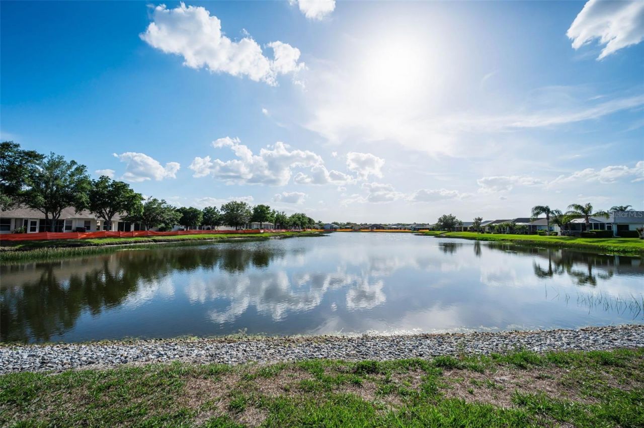 1933 Arbor Knoll Loop, Trinity, FL 34655 Photo