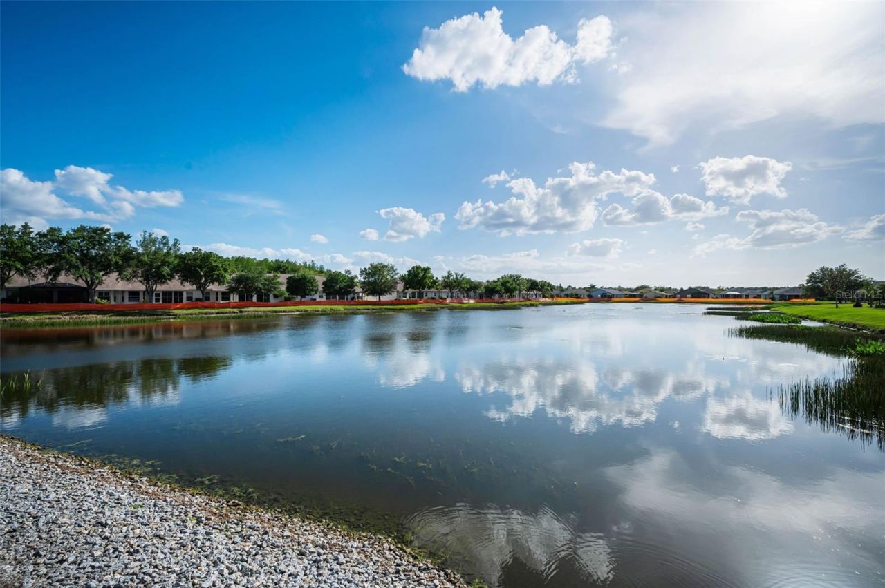 1933 Arbor Knoll Loop, Trinity, FL 34655 Photo