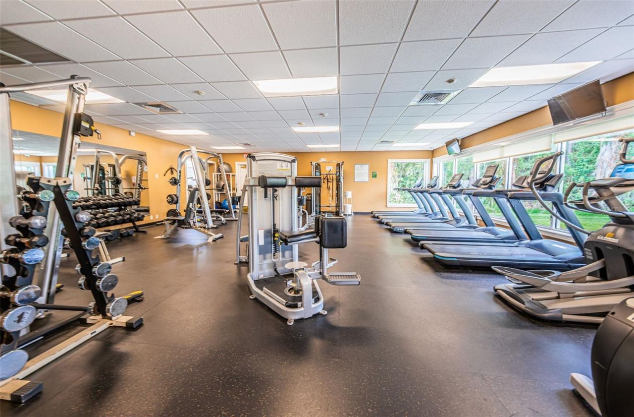 1933 Arbor Knoll Loop, Trinity, FL 34655 Photo