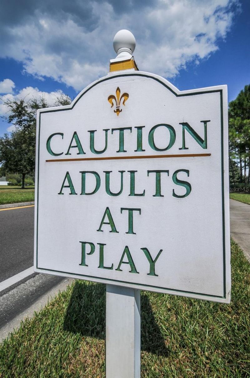 1933 Arbor Knoll Loop, Trinity, FL 34655 Photo