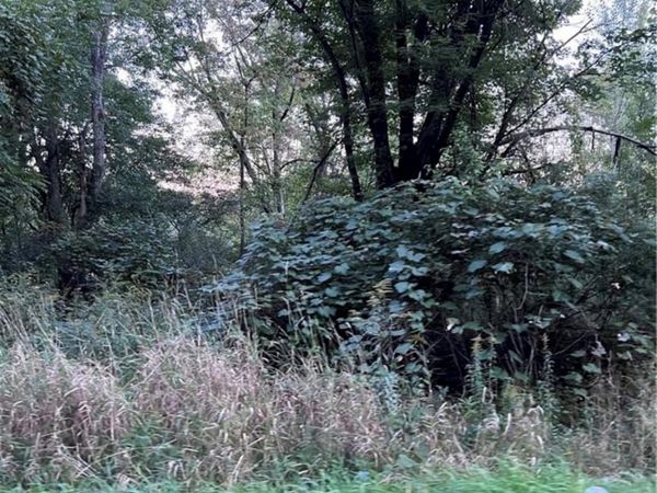 Greenville Turnpike , Port Jervis, NY 12771