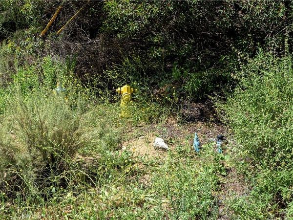 7451 Verdugo Crestline, Tujunga, CA 91042