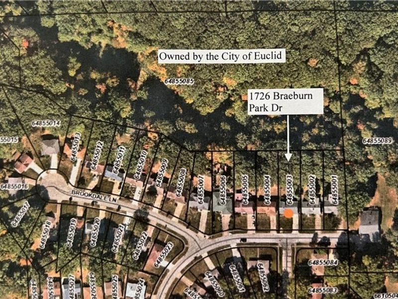 1726 Braeburn Park Drive, Euclid, OH 44117 Photo 38