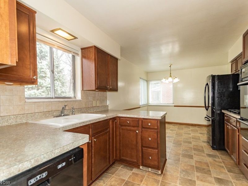 1726 Braeburn Park Drive, Euclid, OH 44117 Photo 5